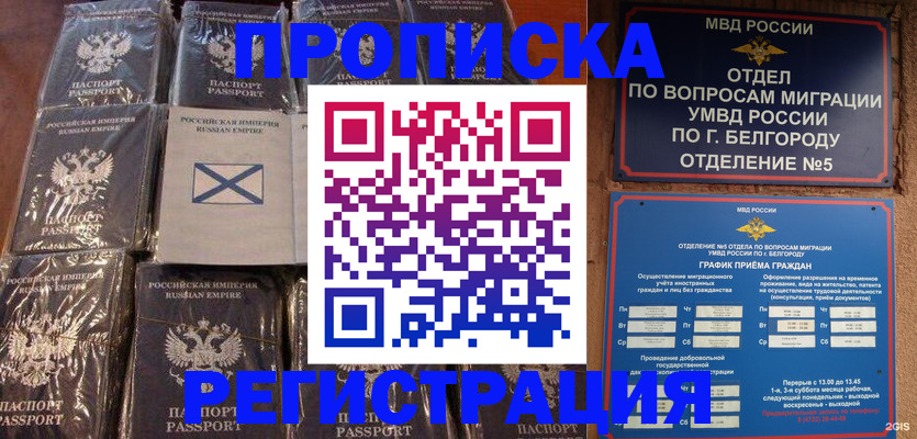прописка гарантия в Ясном